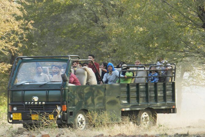 Best of Rajasthan with Ranthambore - Who This Tour Is Best For