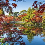Best of Tokyo City Highlights Guided Tour - What’s Included and What to Consider