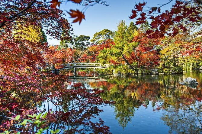 Best of Tokyo City Highlights Guided Tour - What’s Included and What to Consider