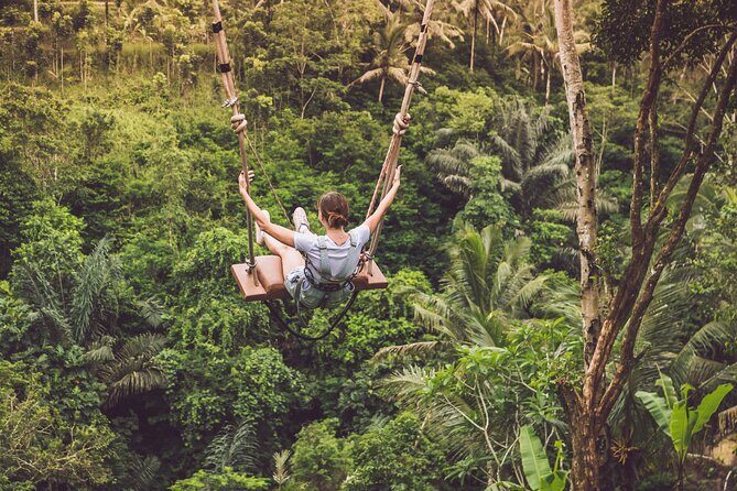 Best of Ubud with Jungle Swing Tour - Who Is This Tour Best For?