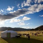 Best tour in Mongolian 7 days - Frequently Asked Questions