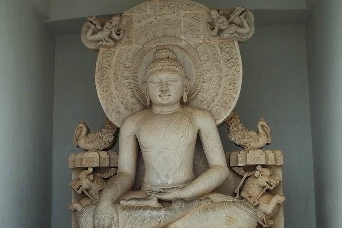 Bhubaneshwar, Bhitarkanika & Similipal Tiger Reserve Tour - Who Should Consider This Tour?