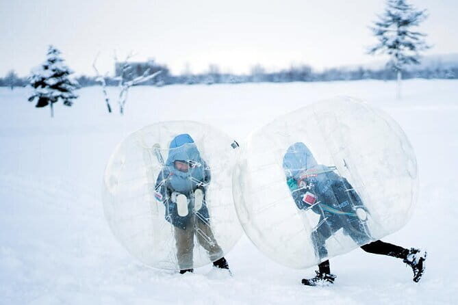 Bibai Snow Land Experience with Lunch and a Snowmobile Activity - Who Should Consider This Tour?