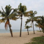 Bicycle & Houseboat Tour - What Reviewers Have Said