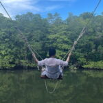 Bintan Mangrove or Fireflies Discovery Tour - Who Should Consider This Tour?