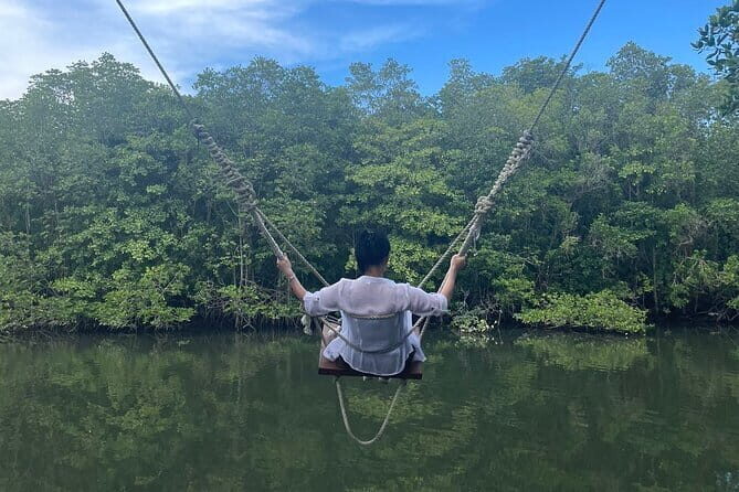 Bintan Mangrove or Fireflies Discovery Tour - Who Should Consider This Tour?