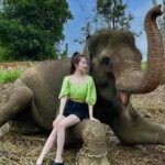 Bintan Safari Lagoi Tour - Planning and Pricing: Does It Offer Good Value?