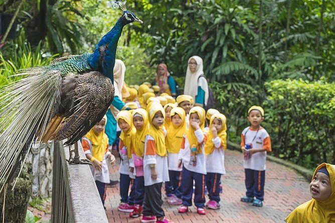 Bird Park & Butterfly Farm Nature Tour From Kuala Lumpur - What You Should Know Before Booking