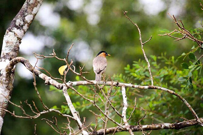 Bird watching and Wildlife Tour (6 Days) - Itinerary Breakdown