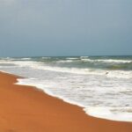 Birds & Beyond: Chennai to Pulicat Bird Sanctuary Day Tour - Who Should Consider This Tour?