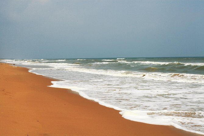 Birds & Beyond: Chennai to Pulicat Bird Sanctuary Day Tour - Who Should Consider This Tour?