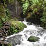 Bishnu Dwar (Shivapuri) Hike from Kathmandu - Final Thoughts: Who Should Consider This Tour?