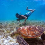 Blue Lagoon Snorkeling with Lunch and Transport - Who Should Consider This Tour?
