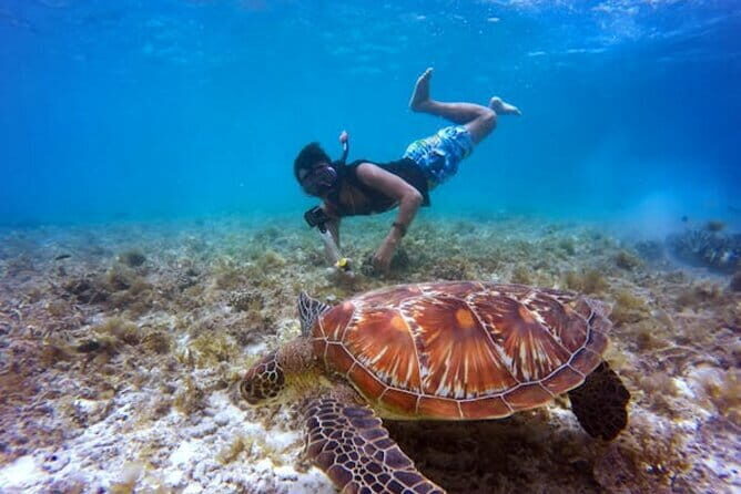 Blue Lagoon Snorkeling with Lunch and Transport - Who Should Consider This Tour?