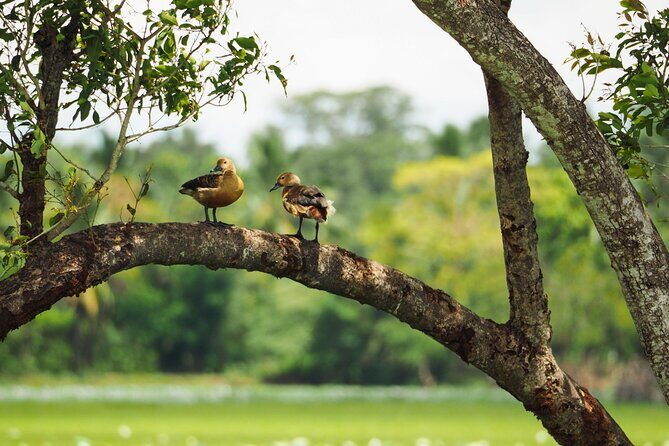Boat Tour in Tissamaharama Lake - The Sum Up