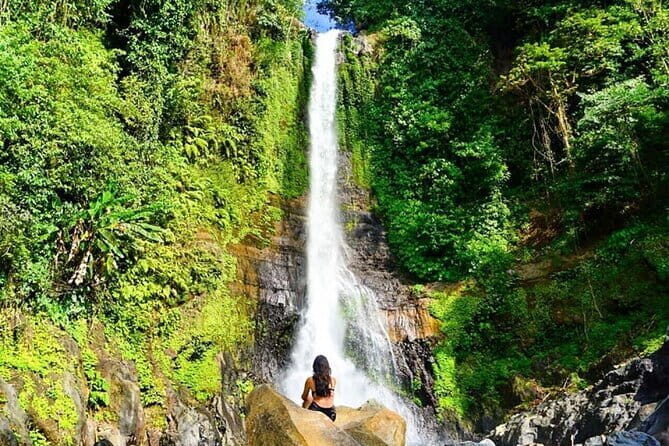 Bogor City Full-Day Private Tour from Jakarta with Pick Up - What’s Included and What’s Not