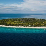 Bohol Balicasag Island Hopping with Dolphin Watching and Lunch - Who Will Love This Tour?