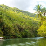 Bohol Whaleshark Watching with Loboc River Lunch - Who Will Love This Tour?