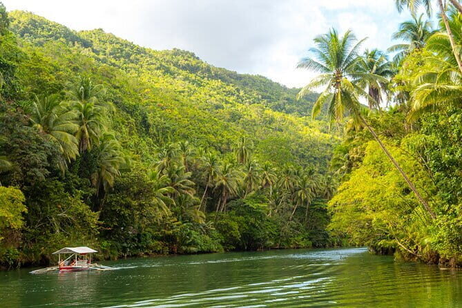 Bohol Whaleshark Watching with Loboc River Lunch - Who Will Love This Tour?