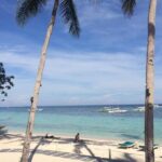 Bohol's Panglao Island Half Day Land & Half Day Island Hopping (Cebu or Bohol) - Practical Details and Tips