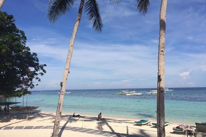 Bohol's Panglao Island Half Day Land & Half Day Island Hopping (Cebu or Bohol) - Practical Details and Tips