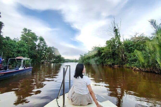 Bongawan River Cruise Proboscis Monkey, SkyMirror, Fireflies - The Itinerary in Detail