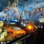 Botanic Garden, Paradise Cave and Phong Nha Cave Tour - What Makes This Tour Stand Out?