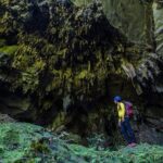 Breathing Forest Eco Tour - Who Should Consider This Tour?