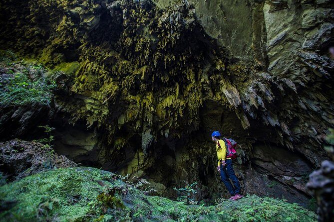 Breathing Forest Eco Tour - Who Should Consider This Tour?