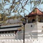 Buddhist Pilgrimage Tour (9 Days) - How the Tour Adds Value