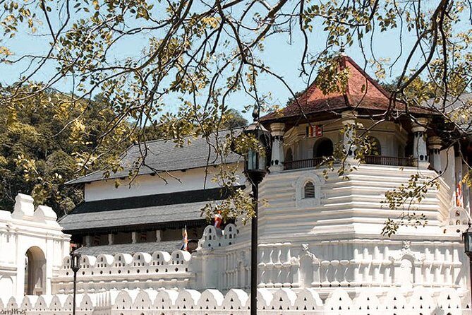 Buddhist Pilgrimage Tour (9 Days) - How the Tour Adds Value