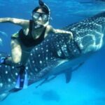 Budgeted: Bohol to Oslob Cebu Whale Shark Experience - Is It Worth the Price?