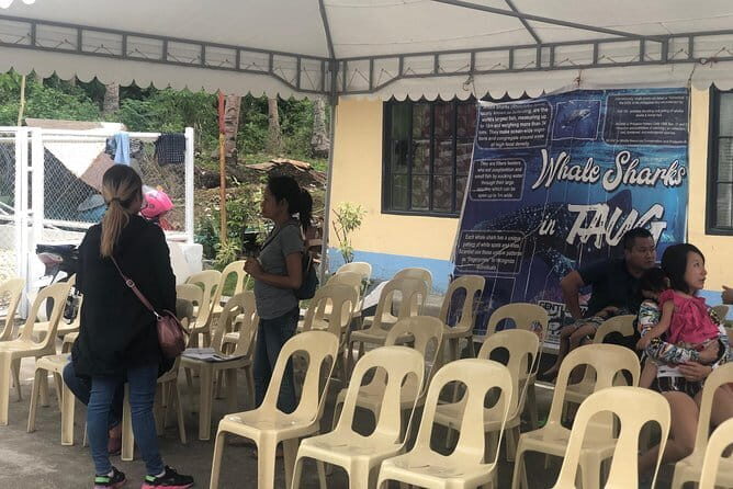 Budgeted Bohol Whale Shark - Final Thoughts
