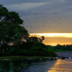 Bundala National Park All Inclusive Safari Tour from Hambantota - Is This Tour Worth the Price?