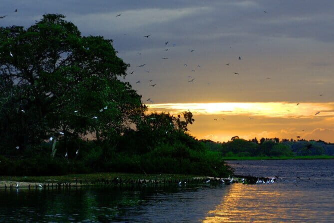 Bundala National Park All Inclusive Safari Tour from Hambantota - Is This Tour Worth the Price?