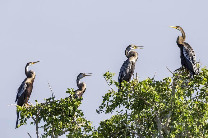 Bundala National Park Private Safari - The Benefits of a Private Safari