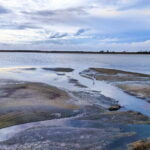 Bundala National Park Safari from Dikwella - Why This Tour Works Well for Certain Travelers