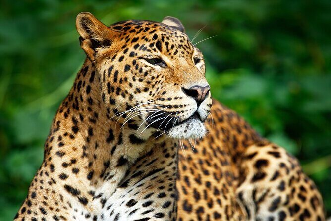 Bundala National Park Safari from Hikkaduwa - Final Thoughts