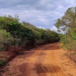 Bundala National Park Safari from Mirissa - Who Should Consider This Tour?