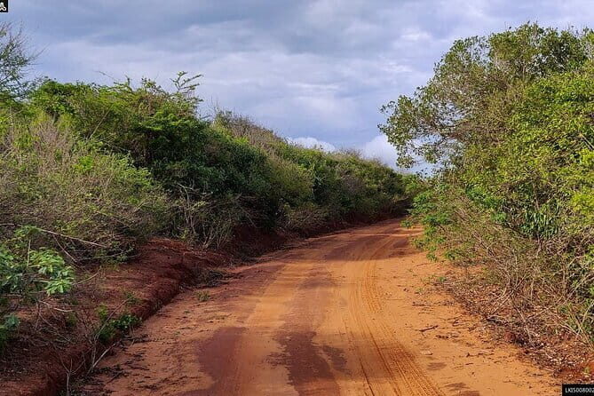 Bundala National Park Safari from Mirissa - Who Should Consider This Tour?