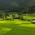 Bungamati and Khokana Village Half-Day Tour from Kathmandu - What Makes the Guide and Transportation Stand Out