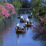 Bus Tour to Dazaifu Yanagawa and Fruits Pick in Fukuoka - Who Should Book This Tour?