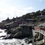Busan City Tour Including Haedong Yonggungsa Temple And APEC House - Who Should Book This Tour?