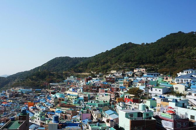 Busan Private Fullday Tour (From min 2 ppl) - Discovering Busan’s Must-See Spots: The Full-Day Experience