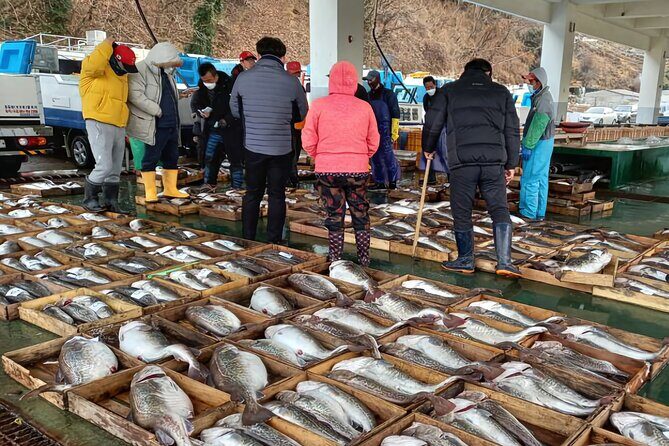 Busan seafood tour : Cod Auction and Clam Auction in Winter - Clam Auction and Coastal Exploration