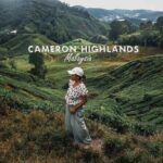 Cameron Highland Day Tour From Kuala Lumpur By Group - Exploring the Highland Highlights