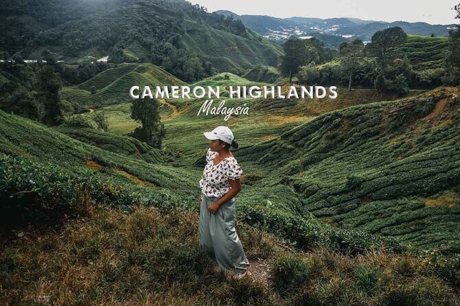 Cameron Highland Day Tour From Kuala Lumpur By Group - Exploring the Highland Highlights