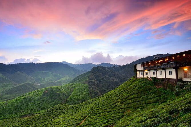 Cameron Highlands & Batu Caves Tour - The Practicalities and Value