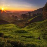 Cameron Highlands Day Tour From Kuala Lumpur (Private Tour) - Practicalities and What to Expect