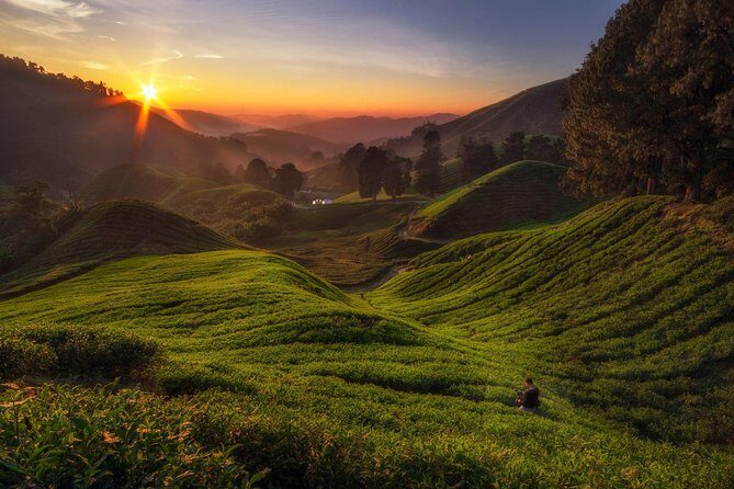 Cameron Highlands Day Tour From Kuala Lumpur (Private Tour) - Practicalities and What to Expect